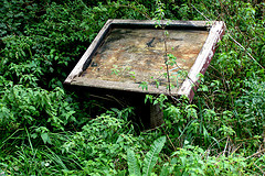 infoboard1